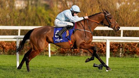betting on champion hurdle|2023 Champion Hurdle Odds and Entries .